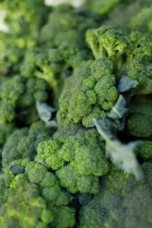 6. Las Verduras: Frescura y Textura